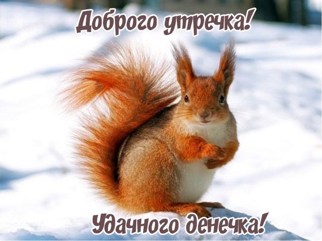 Доброго утреч ка_ ЮачногоіаенечеаЬъ