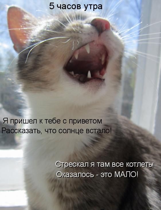 5 часов утра 1 Ё