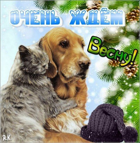 а ъ Жить ні 272 ЦЬ