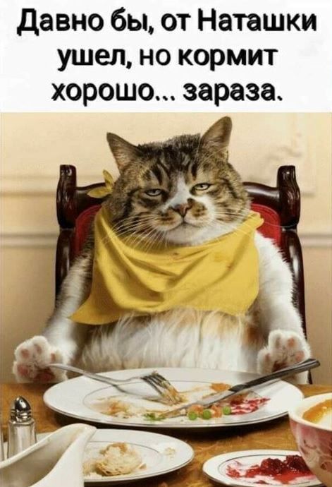 давно бы от Наташки ушел но кормит хорошо зараза