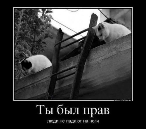 Ты был прав пюди не нада а ноги
