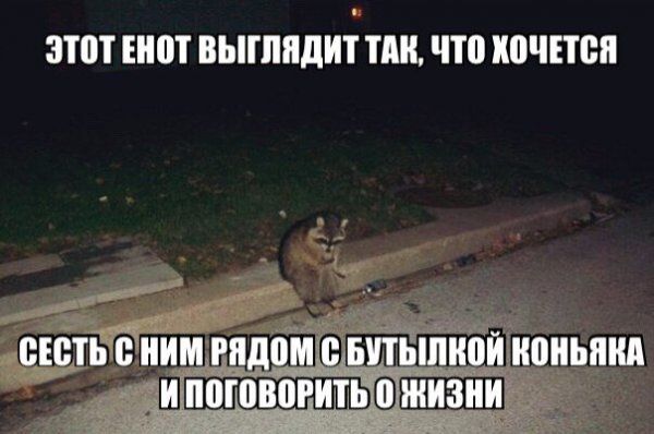 ЗПП Енот ВЬПППЛИТ Ш Ч ШШЕШП