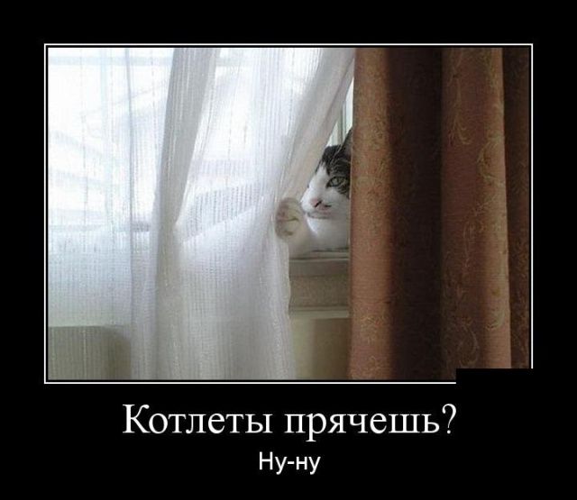 Котлеты прячешь Ну ну