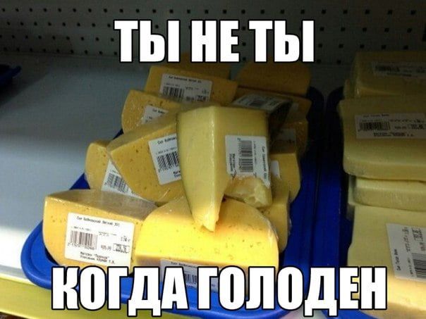 ТЫ ТЫ 15 пю г дпщ