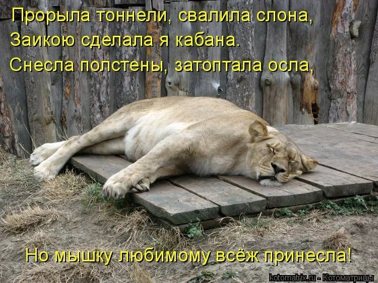 Прдрыпа тоннели фагупацспона Заиіою Ёпізпа я кабЁй Сие папе стеныіётоііфпаафпа 55