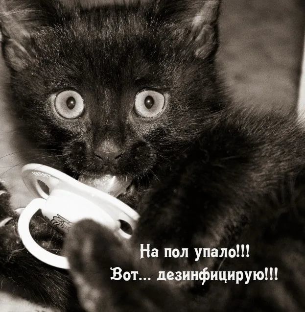 На пол упЗло Вот дцаиифицирую