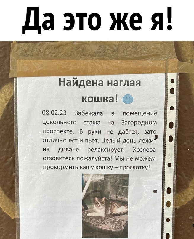 Да это же я Найдена наглая кошка 030213 забежала в помещение цокольного этажа на Загороднам прицепе в руки не даетн эзш отлично ест и мех Целый день лежиг на диване релаисирует Хозяева опввитесь пожалуйста м не можем прокормигь вашу кешиу реп и