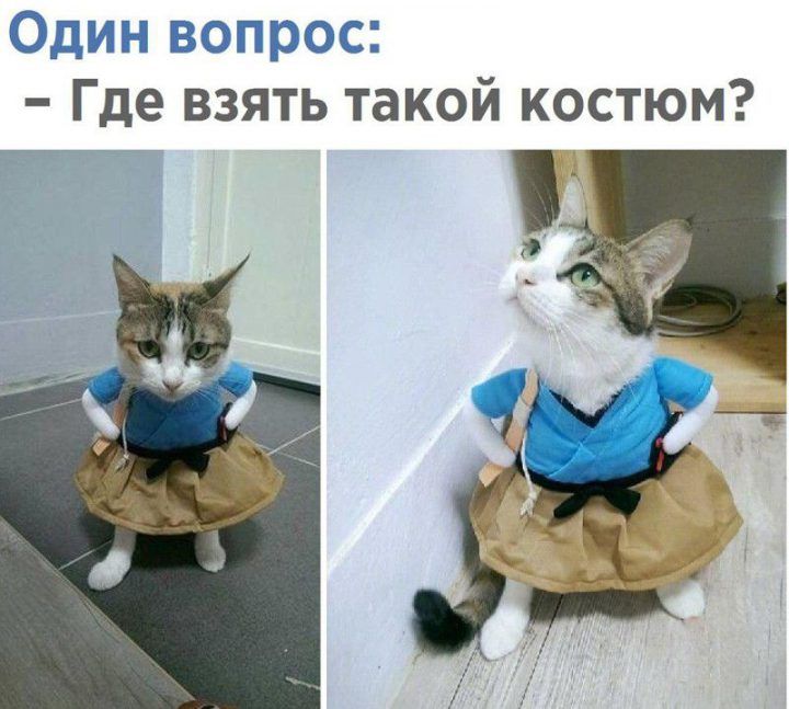 н ч их Где взять такой костюм