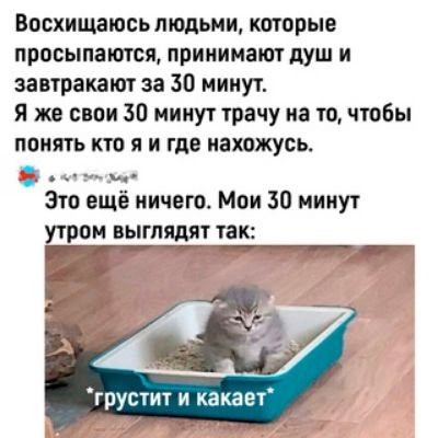Восхищеюсьпюдьми которые просыпаются принимают душ и завтракают за 30 минут Я же свои 30 минут трачу на то чтобы ПОИПТЬ КТО Я И где нахожусь __ Это ещё ничего Мои 30 минут утром выглядят так грустит и какает