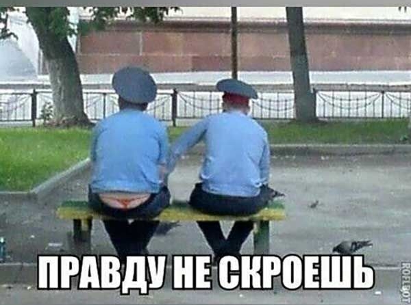 О Нравится 203 О
