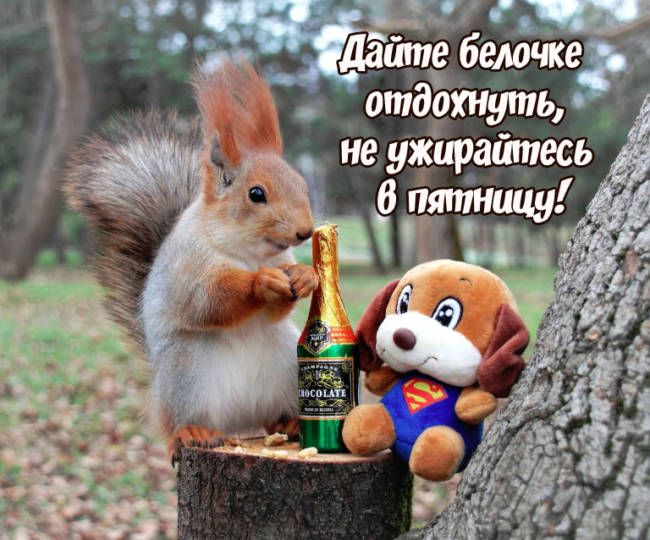 дашпе бемчке _ отдотуть _ д неужирайтесь