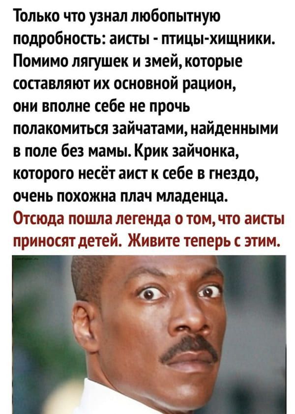 Только что узнал любопытную подробность аисты птицы хищники Помимо лягушек и змей которые составляют их основной рацион они вполне себе не прочь полакомиться зайчатами найденными в поле без мамы Крик зайчонка которого несёт аист к себе в гнездо очень похожна плач младенца Отсюда пошла легенда о том что аисты приносят детей Живите теперь с этим
