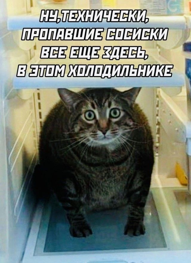 пппплвшив вшэиеки Шзтпм кплпдильникг