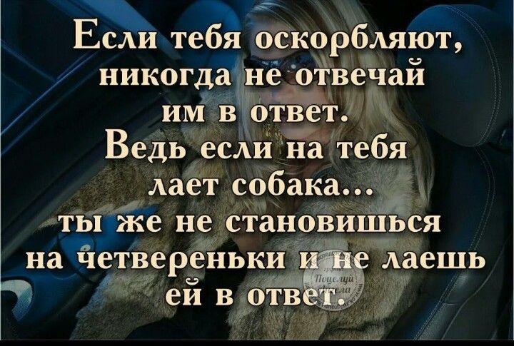 теб оскорбляют никогдд отвечаи е_ р им в Ответ Ведьесли на тебя лает собака 4 тьцже не становишься на четвереньки Хаешь еи в0тв