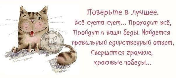 Поверьте в лучшее Вкё уста уст Прохпуит иё Пройдут и ваши Беды Мпйуетот правилЬиый еуииствеииый ответ Вершапкя громкие кратвые поЗеу ы