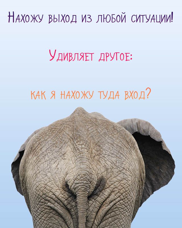 НАХОЖУ ВЫХОД ИЗ ЛЮБОЙ СИТУАЦИИ