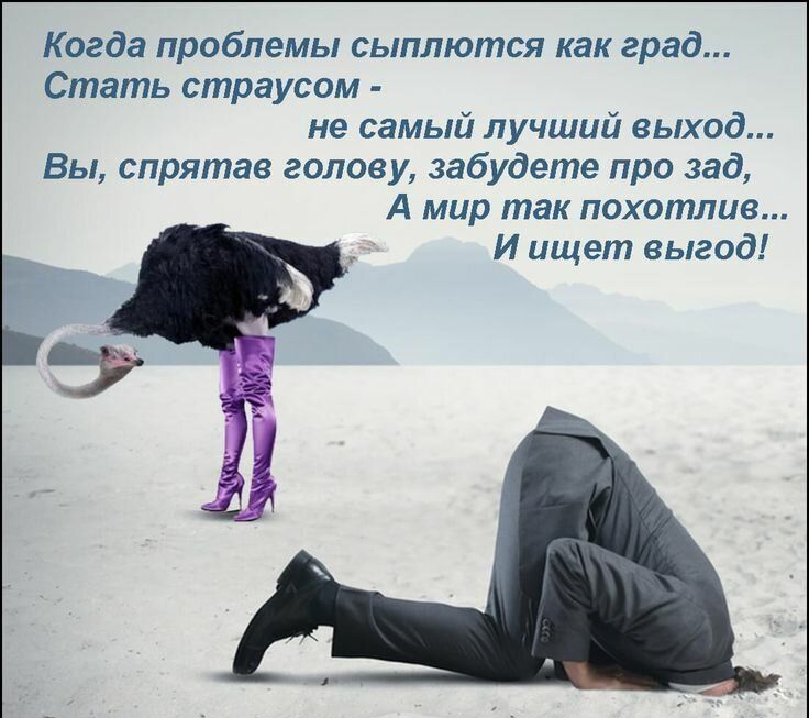 Когда проблемы сыплются как град Стать страусом не самый лучший выход Вы спрятав голову забудете про зад А мир так похотлие И ищет выгод