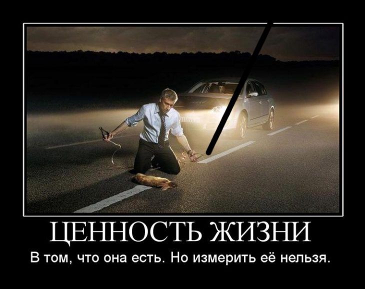 ЦЕННОСТЬ жизъш В том что она есть Но измерить её нельзя