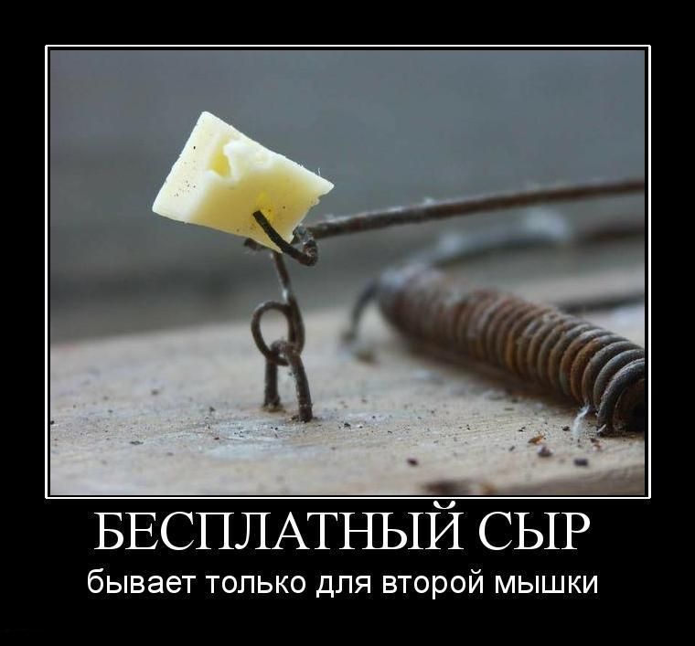 БЕСПЛАТНЫЙ СЫР бывает ТОЛЬКО ДЛЯ ВТОРОЙ МЫШКИ