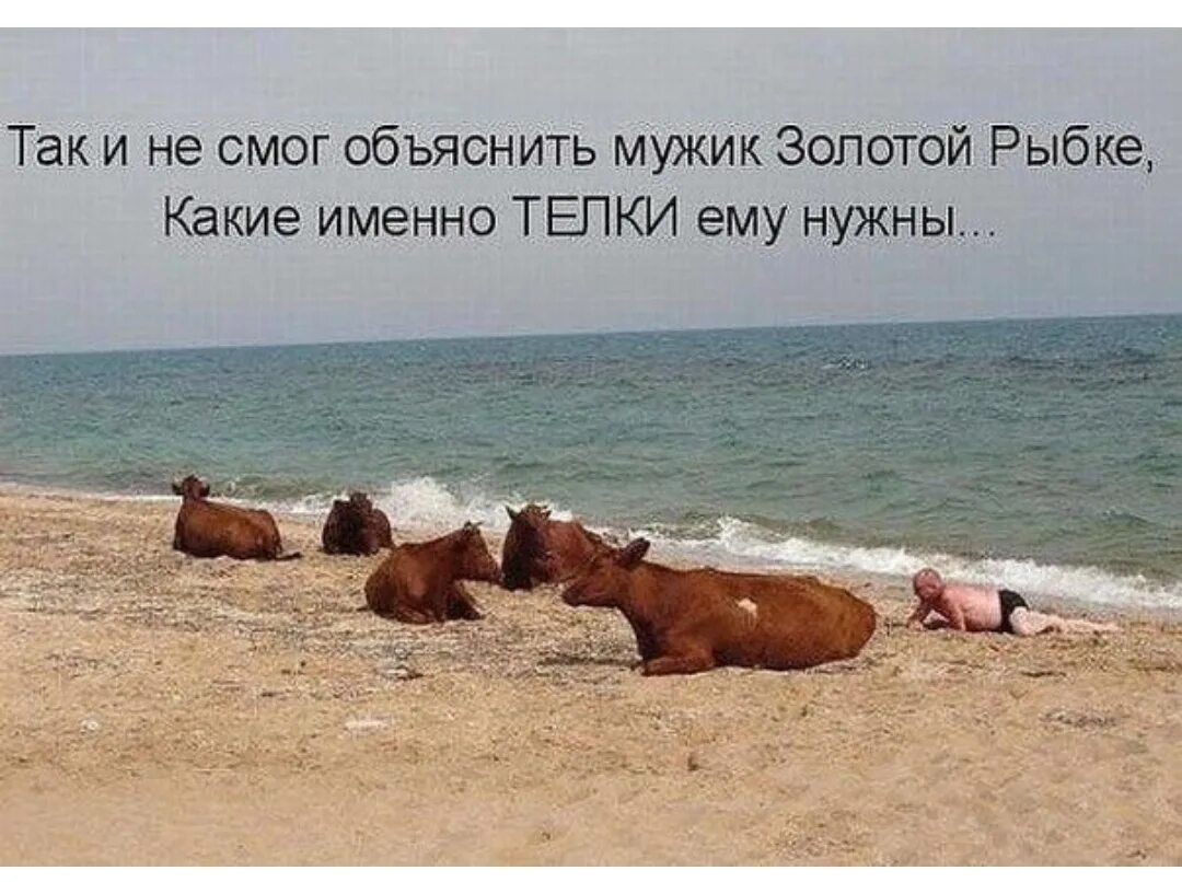 Так и не смог объяснить мужик Золотой Рыбке Какие именно ТЕПКИ ему нужны