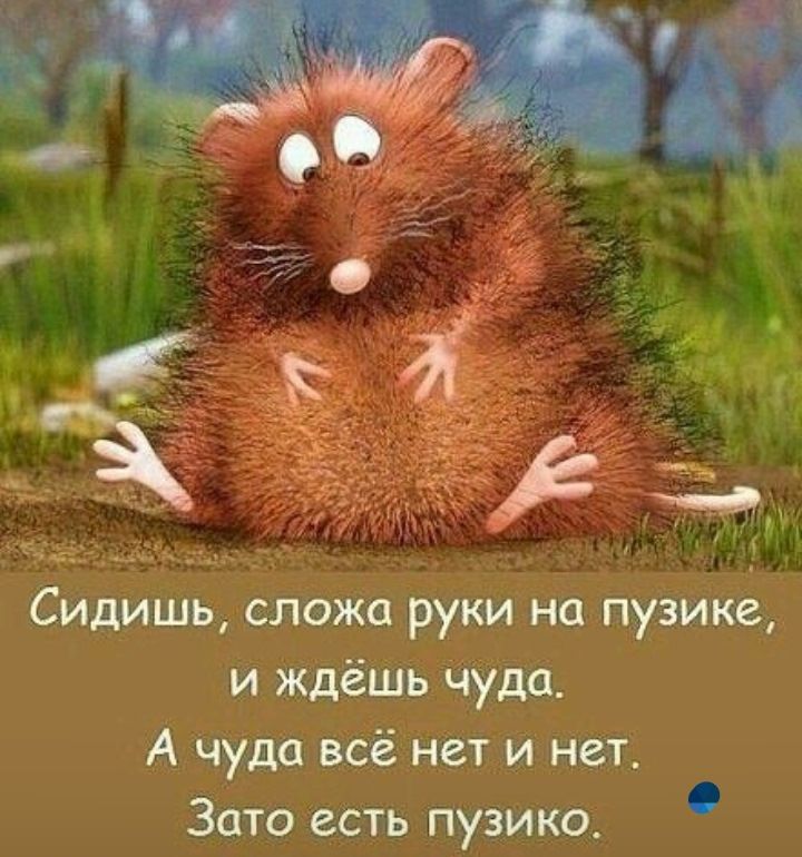 Сидишь ёложц руки на пузике и ждёшь Чуда А чуда всё нет и нет Зато есть пузико