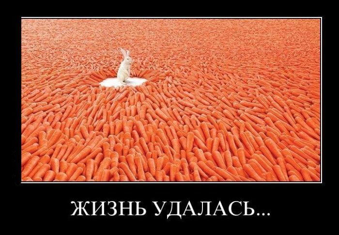 ЖИЗНЬ УДАЛАСЬ