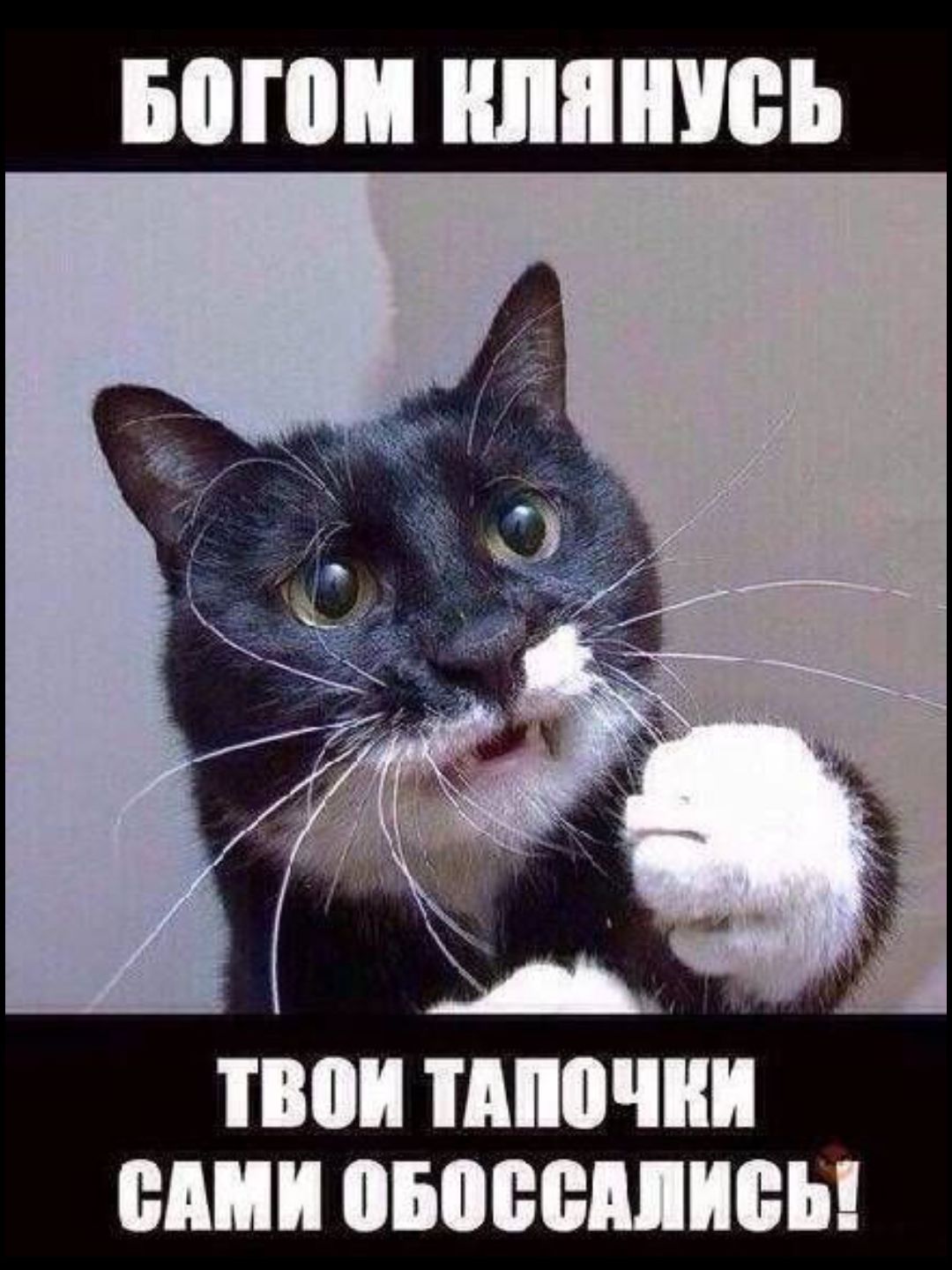 БОП ШЮЪ ЮИ ШМШИ ШШ опасением