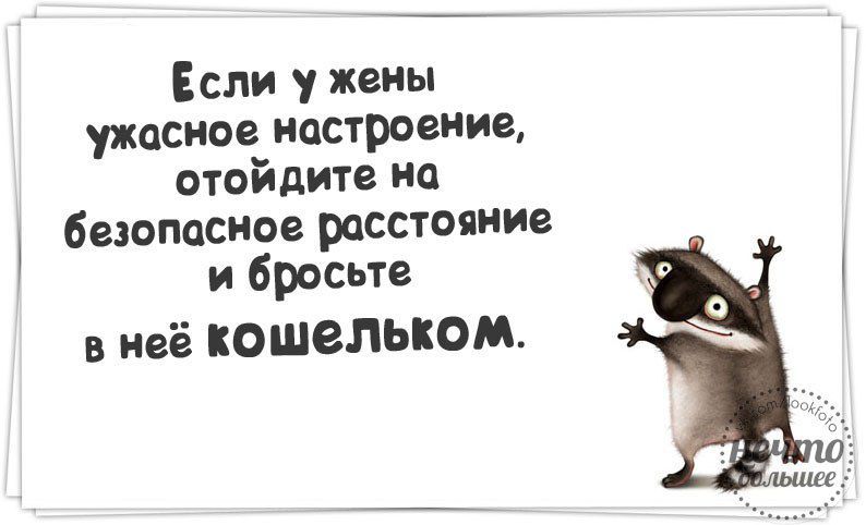 Если у жены ОСНОВ ИЦСТРОВИИВ отоидите на безопасное расстояние и бросьте в неё кошельком