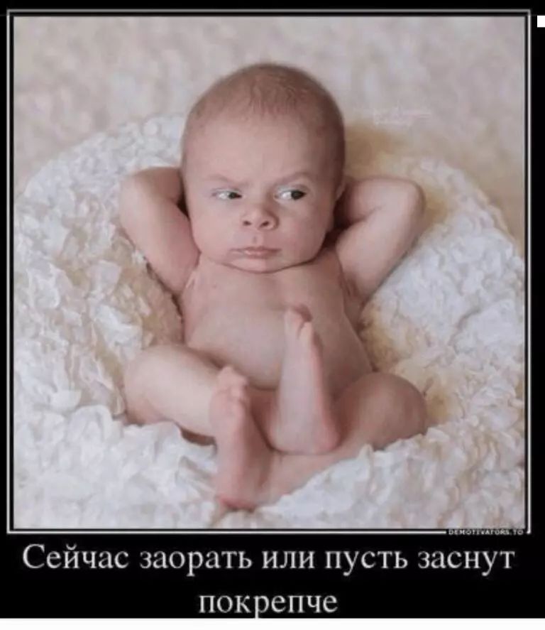 Сейчас задрать или пусть заснут епчс