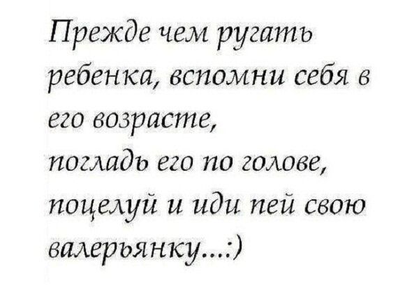 Прежде чем ругать ребенка вспомни себя в его возрасте погладь его по голове поцелуй и иди пей свою валерьянку