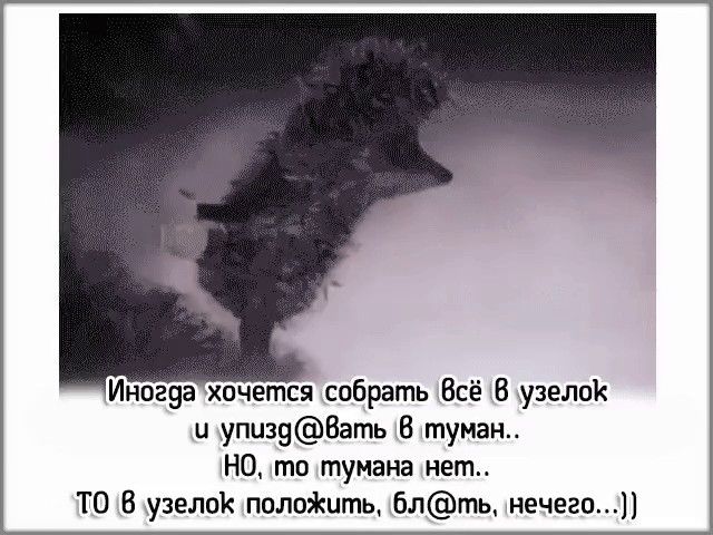 Хочу собрать. Взять узелок и уйти в туман. Хочется собрать всё в узелок и уйти. Иногда хочется собрать всё в узелок и уйти в туман. Иногда хочется уйти в туман.