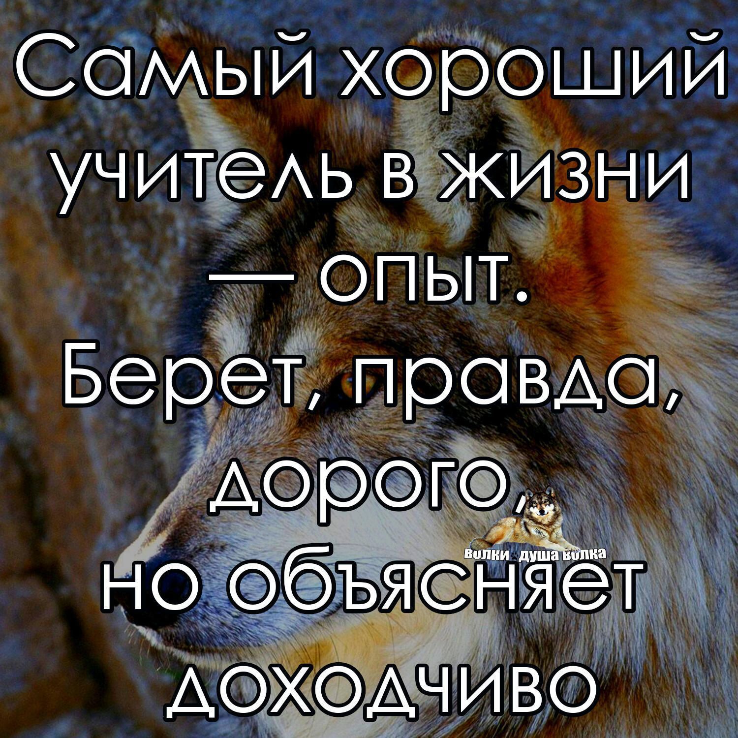 _ _ СбААьій х9б шии