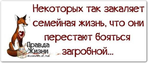 Некоторых так закаляет семейная жизнь что они перестают бояться