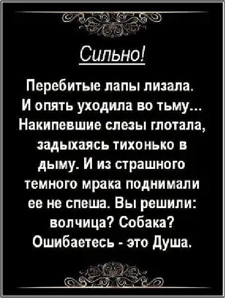 Сильно Перебитые папы лишала И опять уходила во тьму Накипевшие слезы глотала задыхаясь тихонько в дыму И из страшного темного мрака ПОДНИМВПИ ее ие слеша Вы решили волчица Собака Ошибаетесь это душа