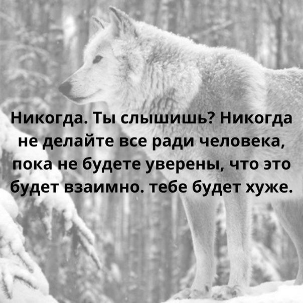 Никогда Ты слышишь Никогда не делайте все ради человека пока не будете уверены что это будет взаимно тебе будет хуже