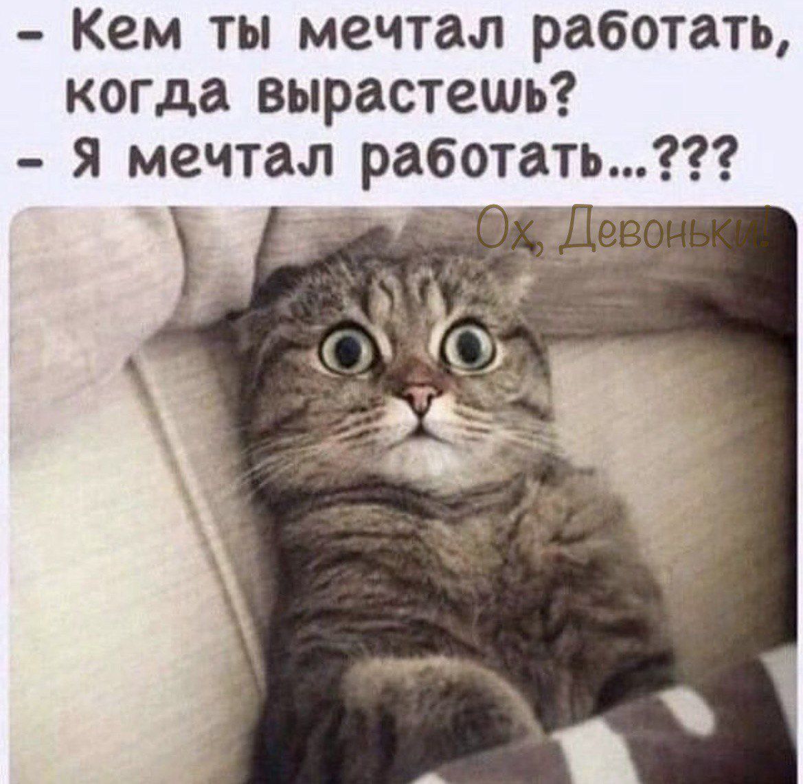 Кем ты мечтал работ ь когда вырастешь я мечтал работать