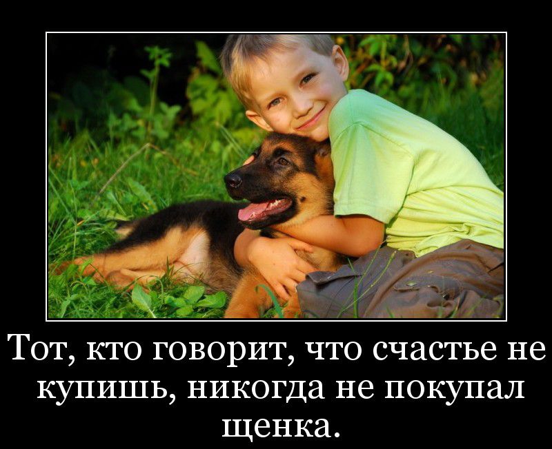 Тот кто говорит что счастье не купишь никогда не покупал щенка