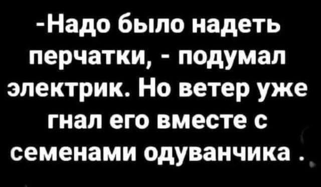 Надо было надеть перчатки подумал электрик Но ветер уже гнал его вместе с семенами одуванчика