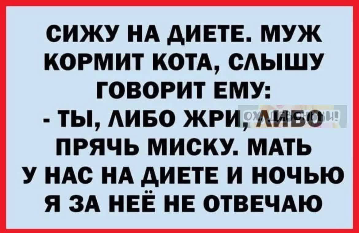 сижу нд диете муж кормит котА сАьпшу говорит ему ты АИБО жри диво прячь миску мдть у иАс НА диет и ночью я ЗА НЕЁ не отвнчдю