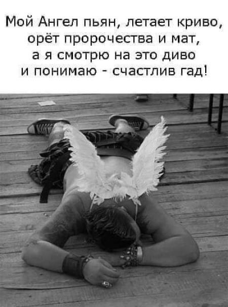 Мой Ангел пьян летает криво орёт пророчесгва и мат а я смотрю на это диво и понимаю счасглив гад