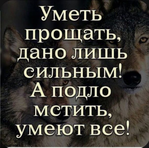 Уметь прощать дано лишь сильным А подло мстить умеют все