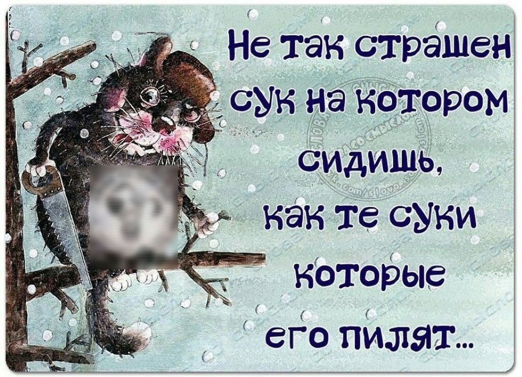 Не так страшен СЫН на матовом сидишь как те суки _ которые его пищат