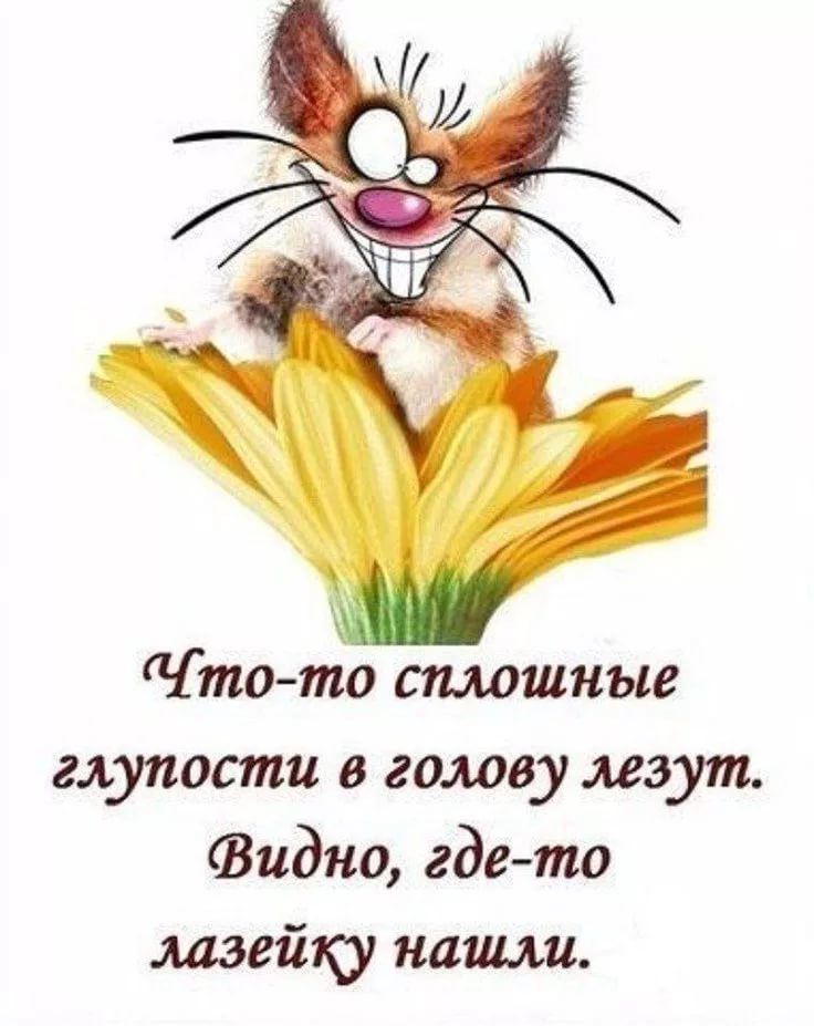 то то сплошные глупости в голову жгут Фидно где то лазейку наши