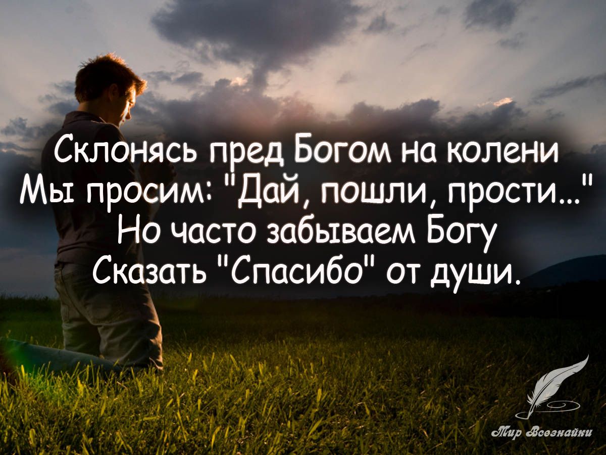 Склонясь п ед Богом на колени Мы просим Дай пошли прости Но часто забываем Богу Сказать Спасибо от души