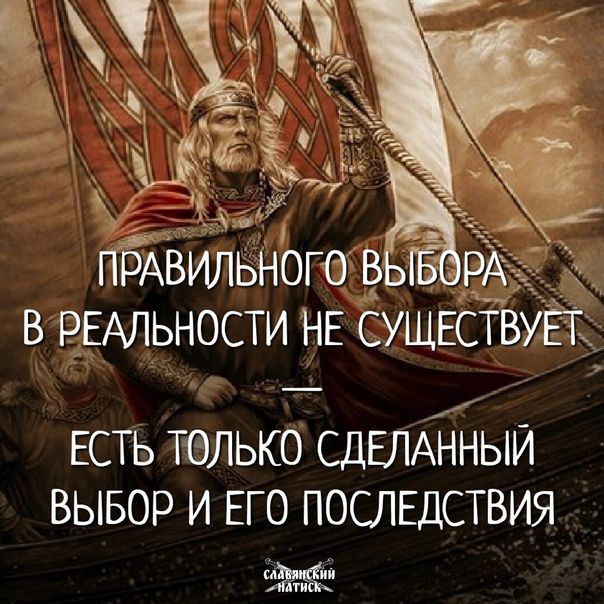 Есть выбор и его последствия. Рюрик Викинг. Ожиганов Вещий Олег. Рюрик Варяжский Ярл. Игорь Ожиганов Рюрик.