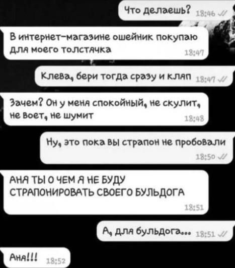что делаешь В иитериет магазиие ошейник покупаю для моего толстдчка клева бери тогда сразу и клип Зачем Ои у меня спокойный ие скупит на вот не шумит Ну это пока вы страпон не пробовали АНЯ ТЫ О ЧЕМ Я НЕ БУДУ СТРАПОНИРОВАТЬ СВОЕГО БУЛЬДОГА для бульдог в