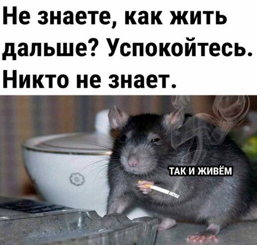 Не знаете как жить дальше Успокойтесь Никто не знает