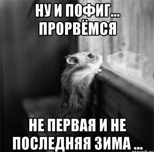Г нии парит прорвемся НЕ ПЕРВАЯ И НЕ ПШЁПЕДНЯН ЗИМА