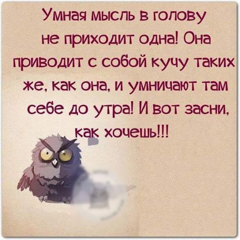 Умная мысль в голову не приходит одна Она приводит с собой кучу таких же как она и умничают там себе до утра И вот засни кед хочешь