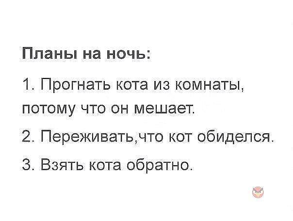 Планы на ночь 1 Прогнать кота из комнаты потому что он мешает 2 Переживатьчто кот обиделся 3 Взять кота обратно